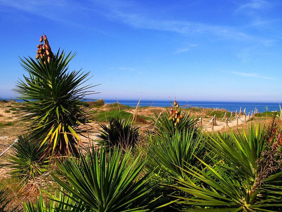 Camping Los Llanos Denia Luaran gambar
